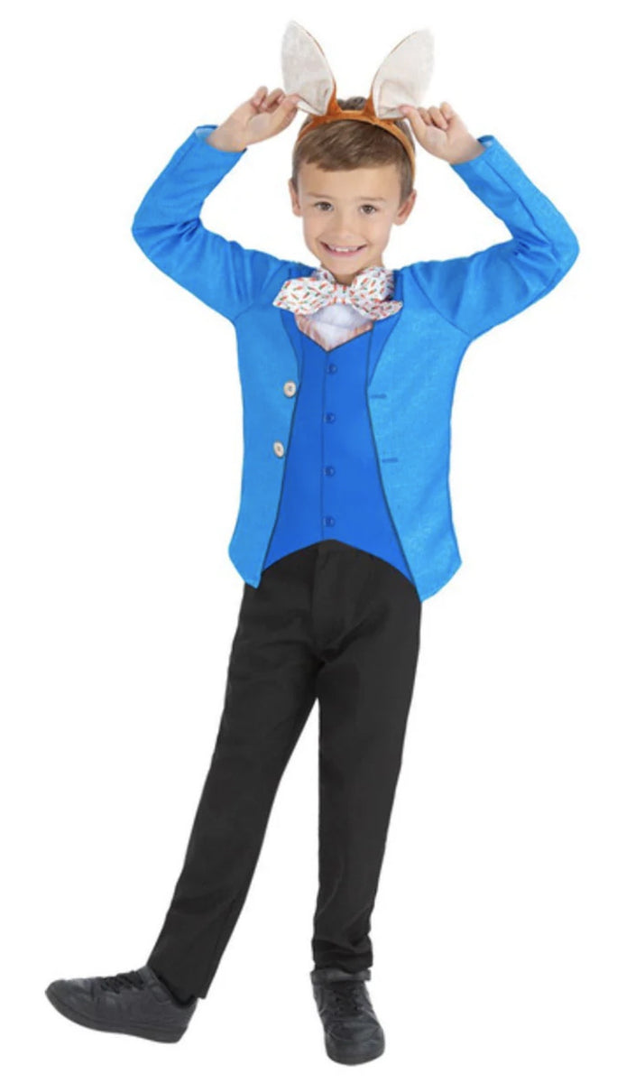 Mr Rabbit Costume