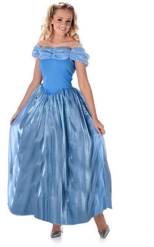 sachin and babi light blue dress purple Adult fairy Queen costume dress3D embroidery flowers | Etsy main image 1