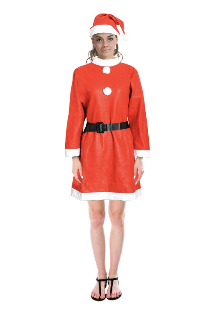 ADULT SANTA LADY COSTUME
