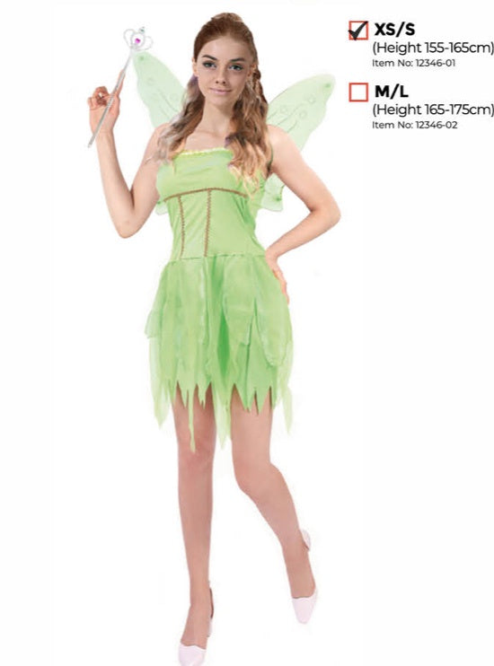 Adult Green Fairy Costume